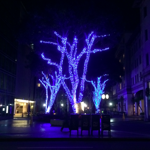 Honolulu Downtown Christmas City Lights