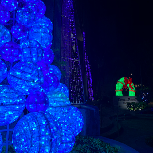 Honolulu Downtown Christmas City Lights'
