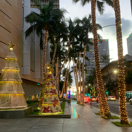 Honolulu Downtown Christmas City Lights'