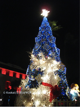 Honolulu City Lights
